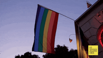 Gay Pride GIF by 60 Second Docs