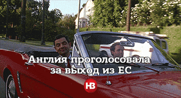 ziggy_iggy_lou brexit GIF