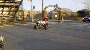 200.gif?cid=fc005b0846e7938f7cbf7be933ee22f9545234a83b732aef&rid=200.gif&ct=g