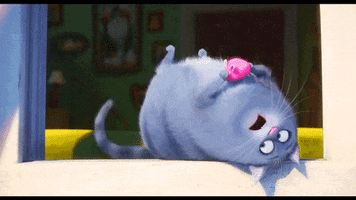 edwin-valdez cat life the pets GIF