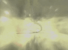shed nuclear blast GIF by Meshuggah