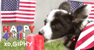 4th Of July Gifs Primo Gif Latest Animated Gifs