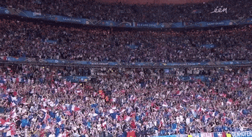 france yes GIF by Sporza