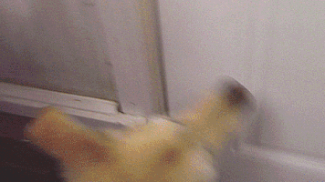 Lonely Dog GIF