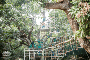 Bangalaore GIF