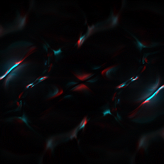 Kronogenesis Megasoma GIF