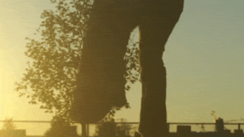 fall sunset GIF by Polyvinyl Records