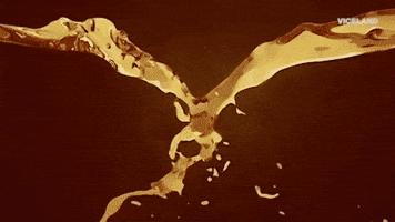 make it rain champagne GIF by MOST EXPENSIVEST