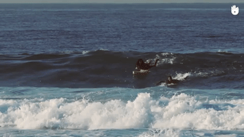 Surf Drop GIF