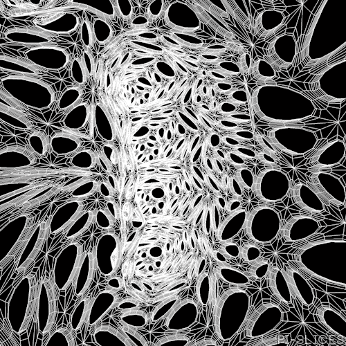 black and white wireframe GIF by Pi-Slices