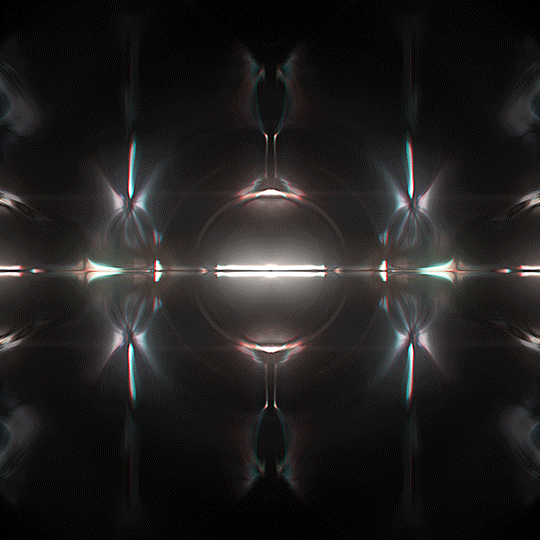 Kronogenesis Megasoma GIF