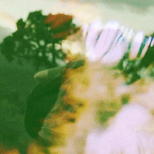 Music Video GIF by firekid