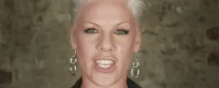 pink pink p!nk raise your glass GIF