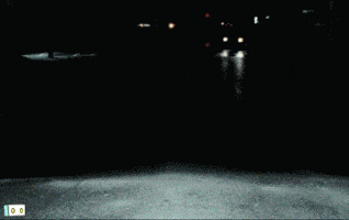 czarkphardy  GIF