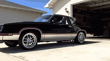 drewgrayhealeyhotmailcom  GIF