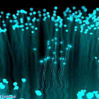 water neon GIF by Psyklon