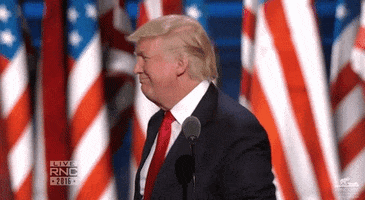 Donald Trump Clap GIF by Election 2016
