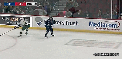 dlukenelson hockey minnesota wild iowa wild mario lucia GIF