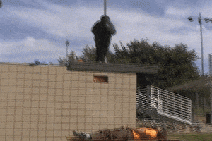 Miss Fail GIF by No Mercy Video
