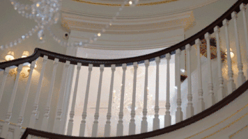 kaitlin olson GIF by The Mick