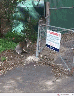 yw5uev9sdw5pb3zhqg1hawwucnu  GIF