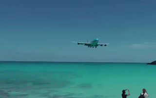 jesusleon  GIF