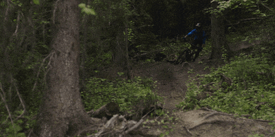 rockymountain  GIF