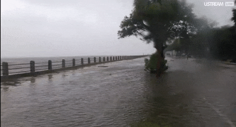Matthew GIF by Univision Noticias