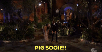 the bachelor pig sooie GIF by ABC Network