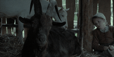 The Witch Horror GIF by A24
