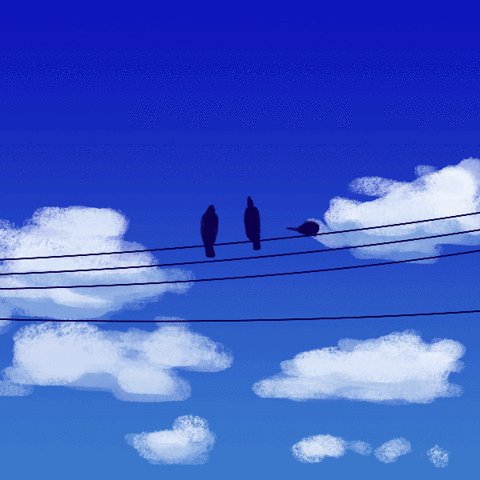 latecantparty test sky birds wip GIF
