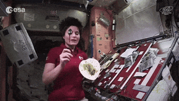 planetarium  GIF