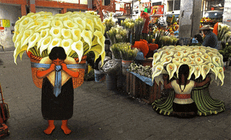 Vendedora De Alcatraces GIF by mbellasartes