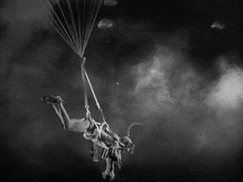 classic film falling GIF by Warner Archive