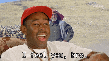 Celebrity gif. Tyler, The Creator seated in front of a video screen showing an old arab man in the countryside, pats his hand down on the arm of his chair. Smoke comes out of his mouth as he says enthusiastically, "I feel you, bro!" which appears as text. 