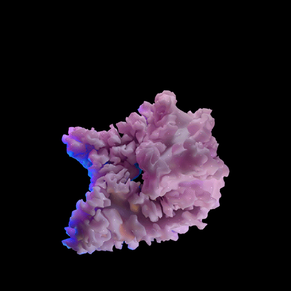 GIF by extraweg