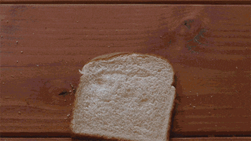 bread loaf GIF by Simple