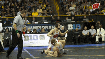 Excited Big Ten GIF by Wisconsin Badgers