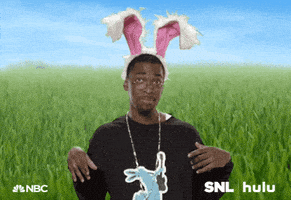 saturday night live bunny ears GIF by HULU