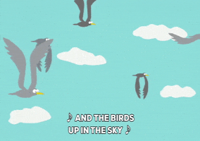 bird flying GIF by South Park 