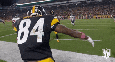 Pittsburgh Steelers Celebration GIF by NFL