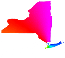 new york state GIF by Anthony Antonellis
