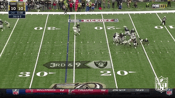 Oakland Raiders GIF by NFL