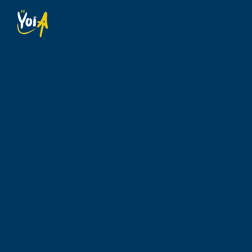 pct yoia GIF