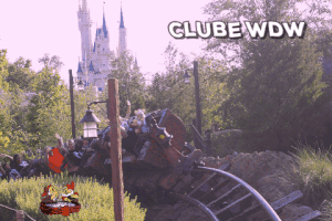 alysonregisdarugna disney magic kingdom fantasyland seven dwarfs mine train GIF