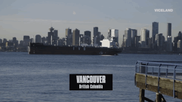 viceland GIF by Payday