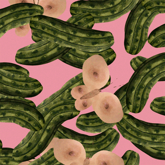 butterflies cucumber GIF by antonio vicentini