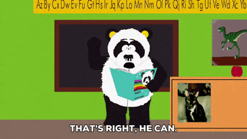 panda teaching GIF by South Park 