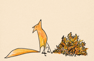 Its Fall Fox GIF by Ana Caro