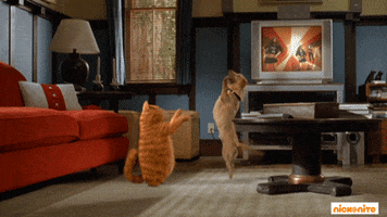 Garfield Movie GIFs - Get the best GIF on GIPHY